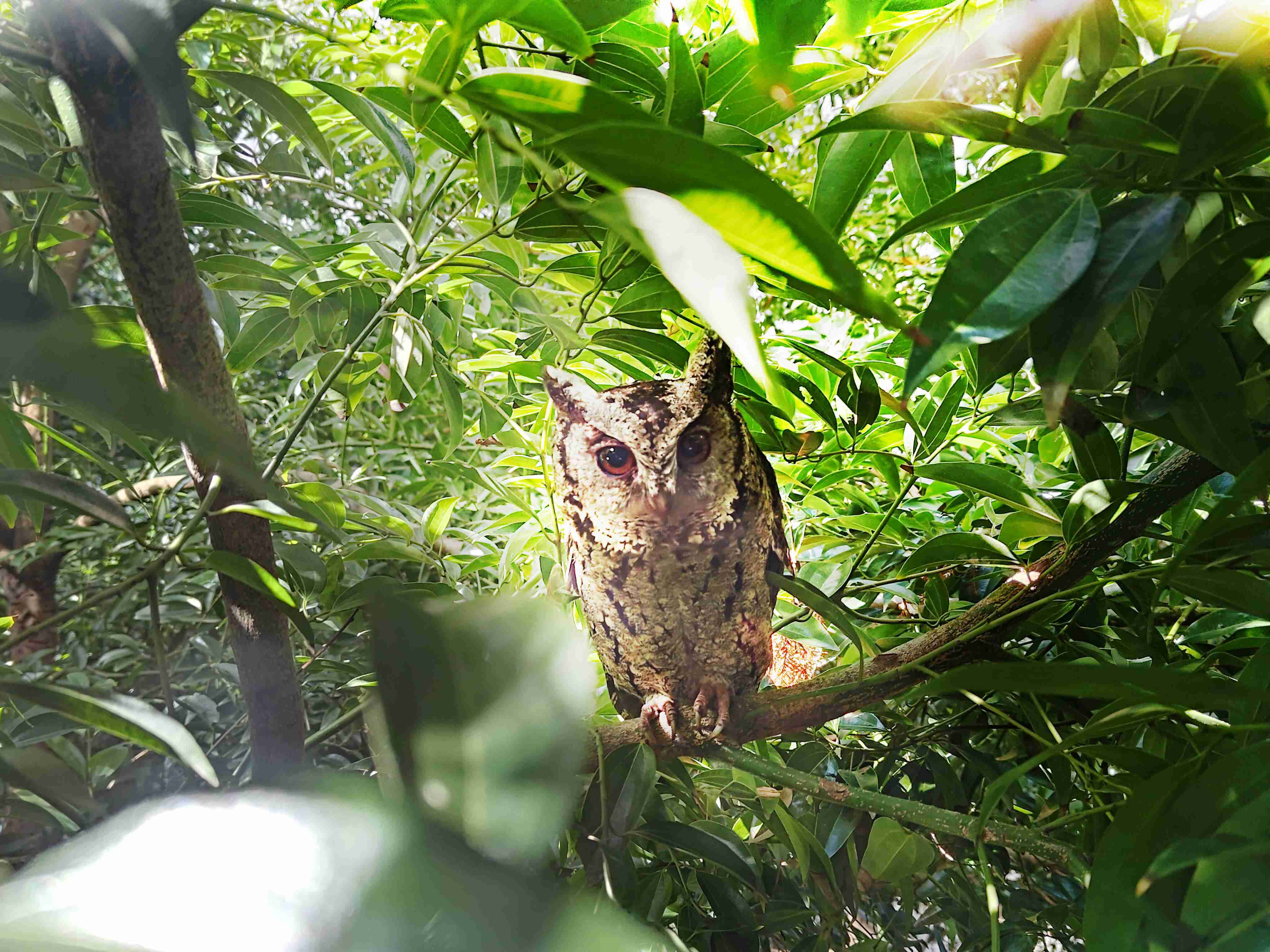 z6尊龙致力提倡净零绿生活，，16年以来在全球各厂区植树逾百万棵，，，造就各厂区树木蔚然成林，，，，犹如森林工厂，，，成为许多生物的栖息地